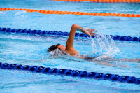 progettazione piscine lido di verona